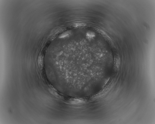 X0000113010475200909241356