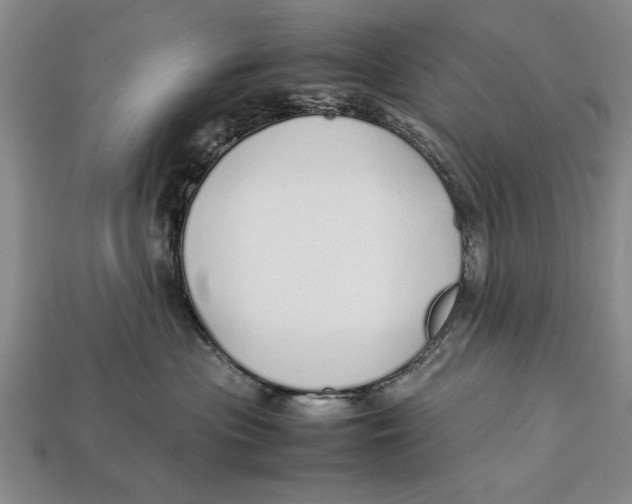 X0000113010477200909241356