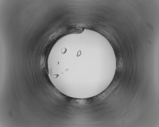 X0000113010478200909241356