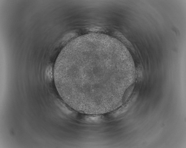 X0000113010479200909241356