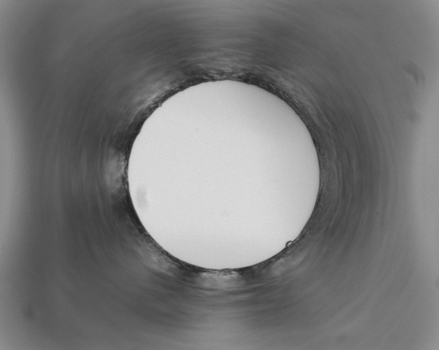 X0000113010480200909241356