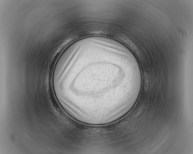 X0000113010482200909241355