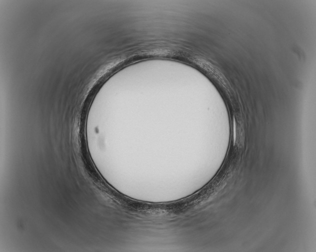 X0000113010483200909241355