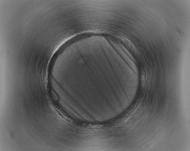 X0000113010484200909241355