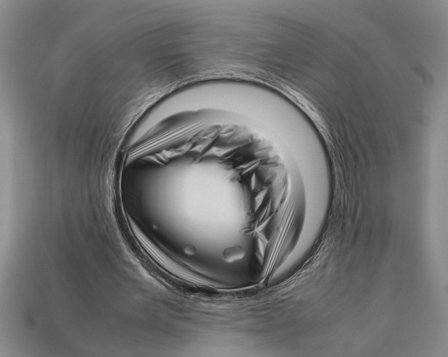 X0000113010485200909241355