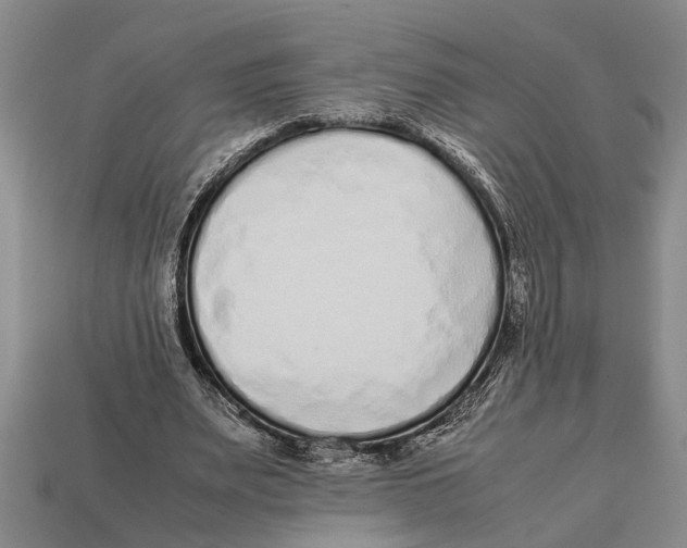 X0000113010487200909241355