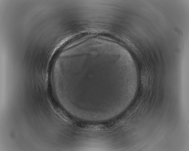 X0000113010488200909241355