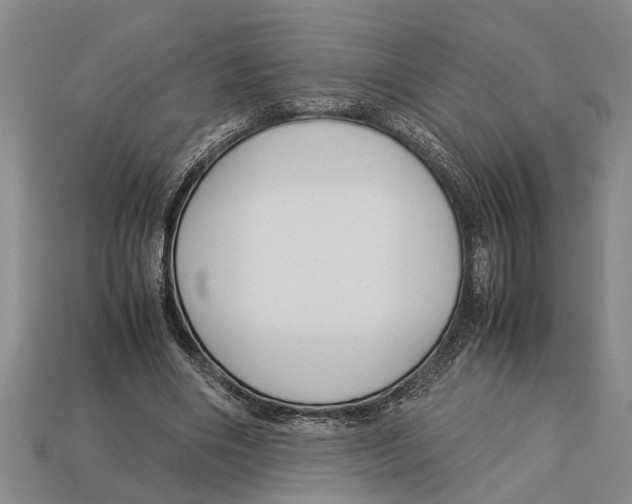 X0000113010490200909241355