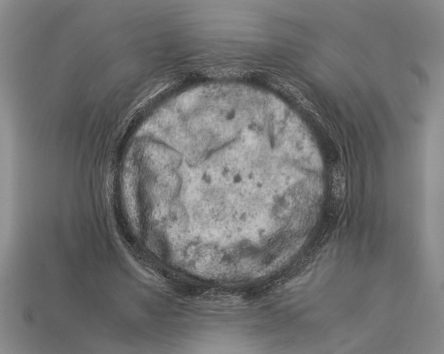 X0000113010491200909241355