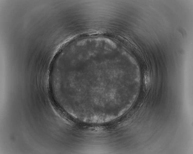 X0000113010492200909241355