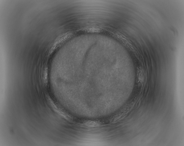 X0000113010494200909241355
