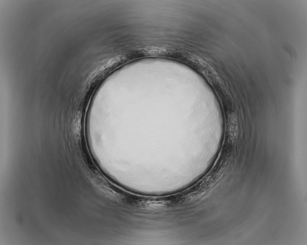 X0000113010495200909241355