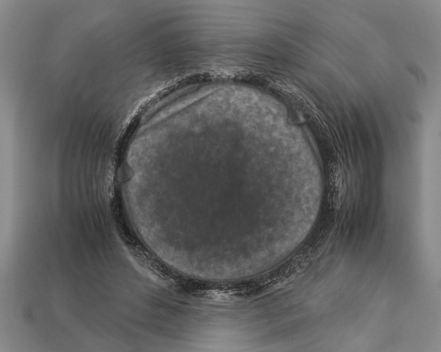 X0000113010496200909241355