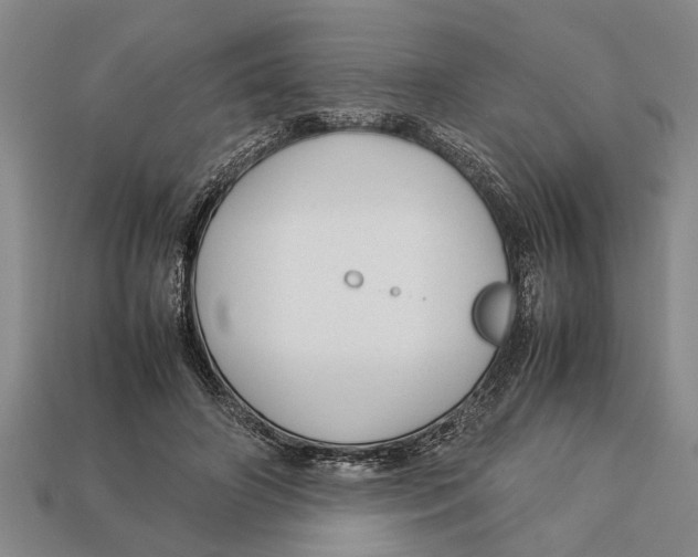 X0000113010498200909241355
