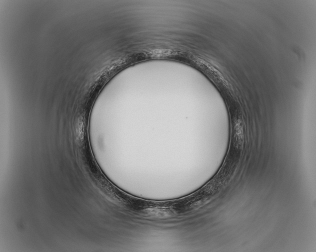 X0000113010499200909241355