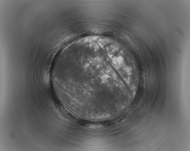 X0000113010500200909241355