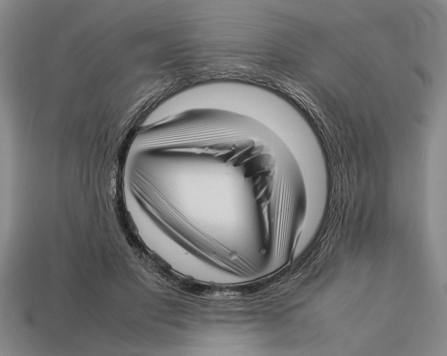 X0000113010501200909241355