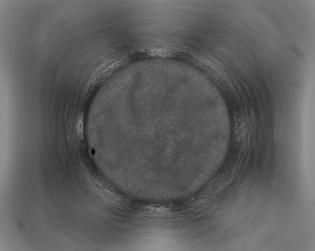 X0000113010502200909241355