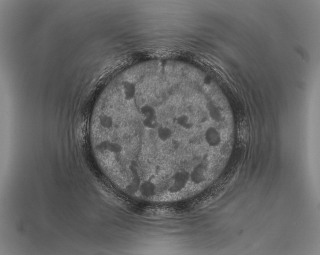 X0000113010503200909241355