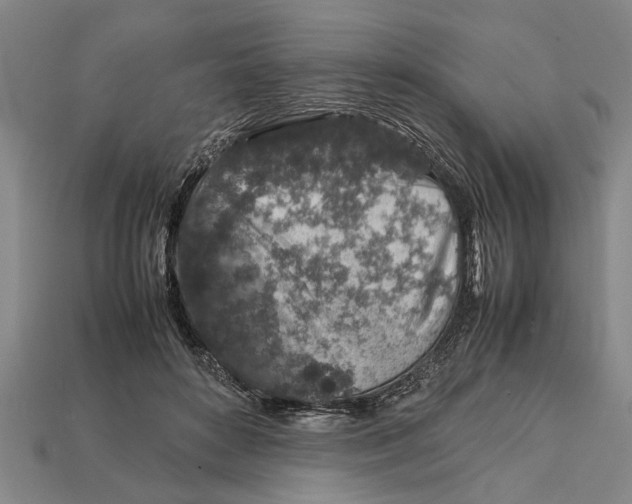 X0000113010504200909241355