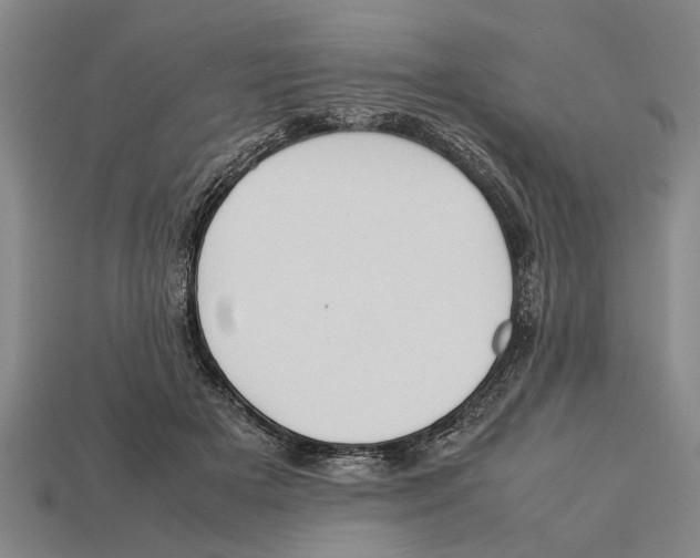 X0000113010505200909241355