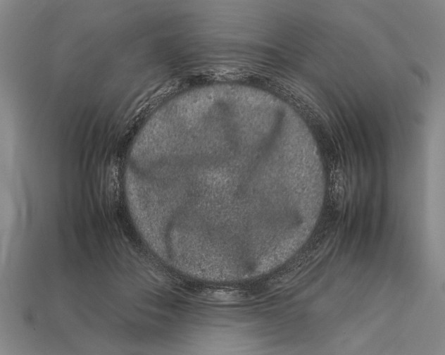 X0000113010506200909241355