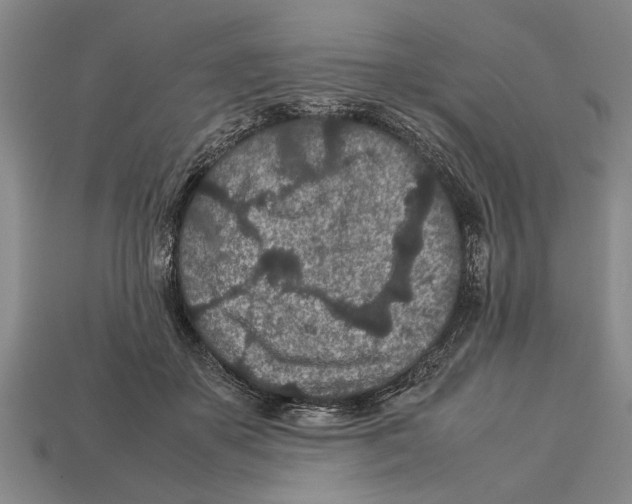 X0000113010507200909241355