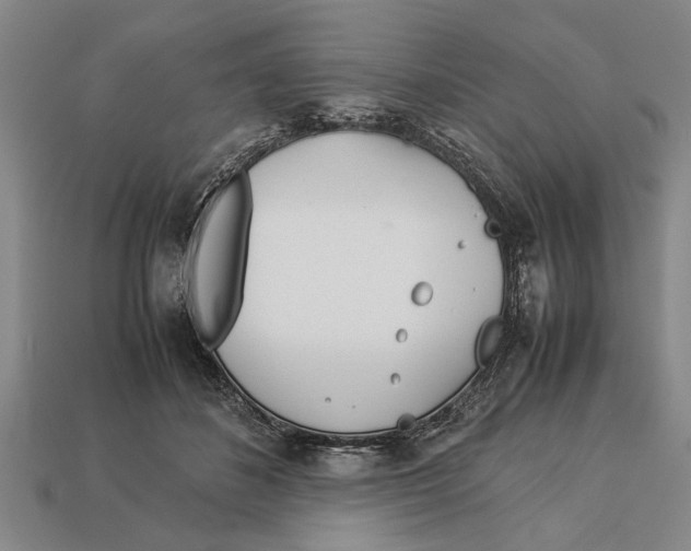 X0000113010508200909241355