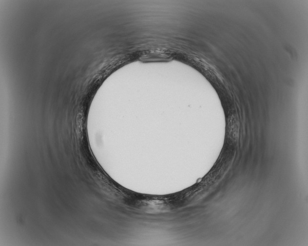 X0000113010509200909241354