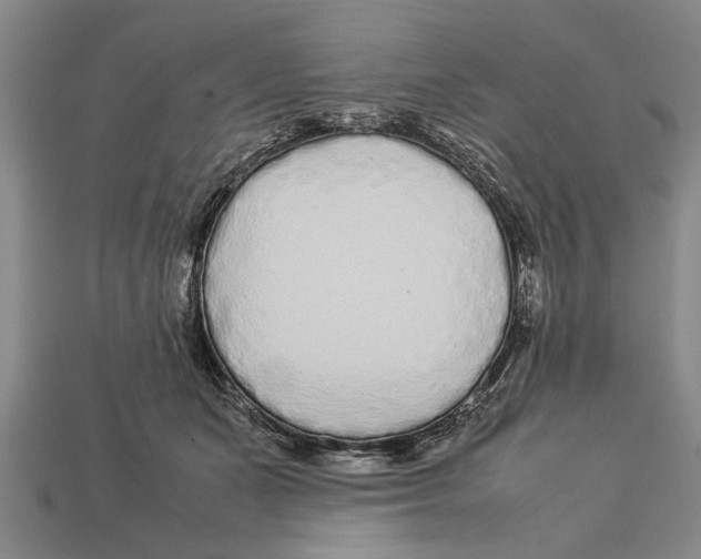 X0000113010511200909241354