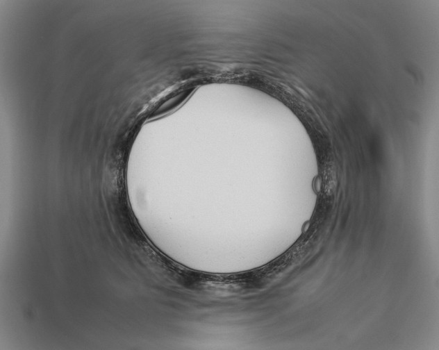X0000113010515200909241354