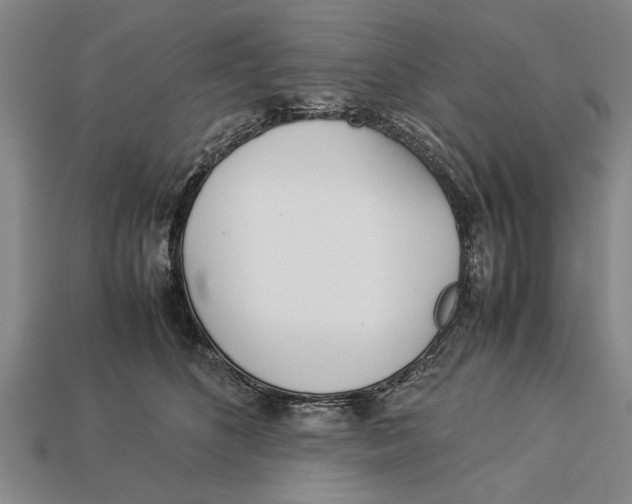 X0000113010516200909241354
