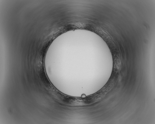 X0000113010518200909241354