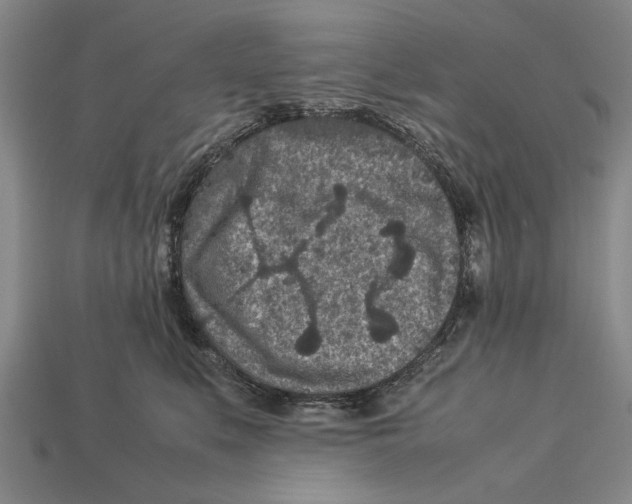 X0000113010519200909241354