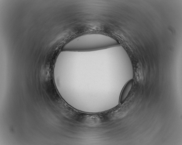 X0000113010520200909241354