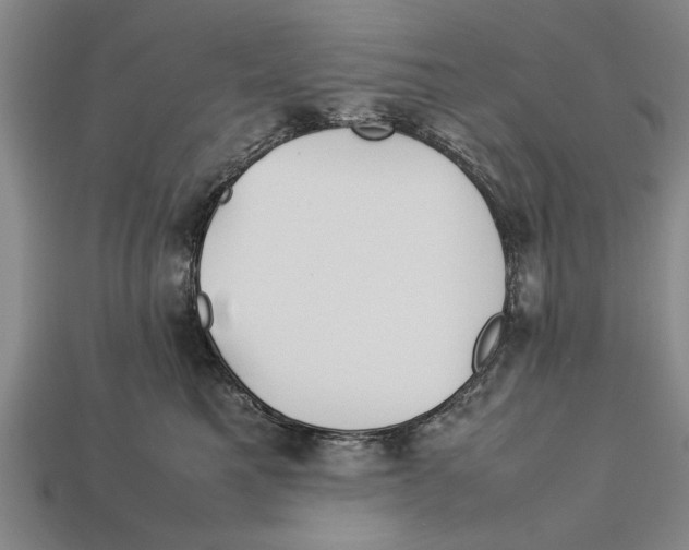X0000113010521200909241354