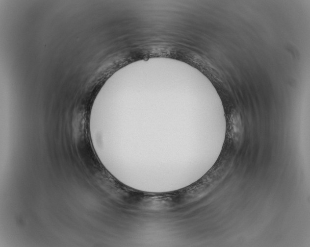 X0000113010522200909241354
