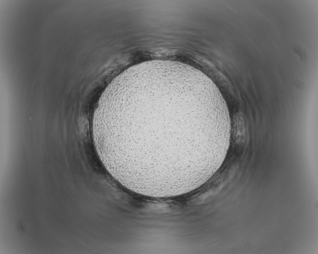 X0000113010523200909241354