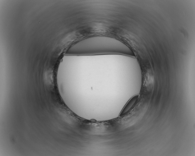 X0000113010524200909241354