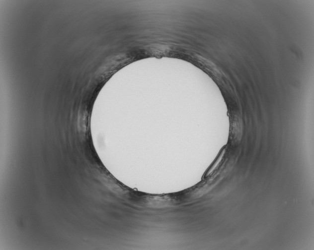X0000113010525200909241354