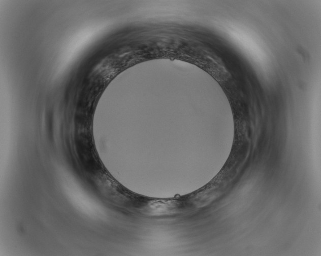 X0000113010526200909241354