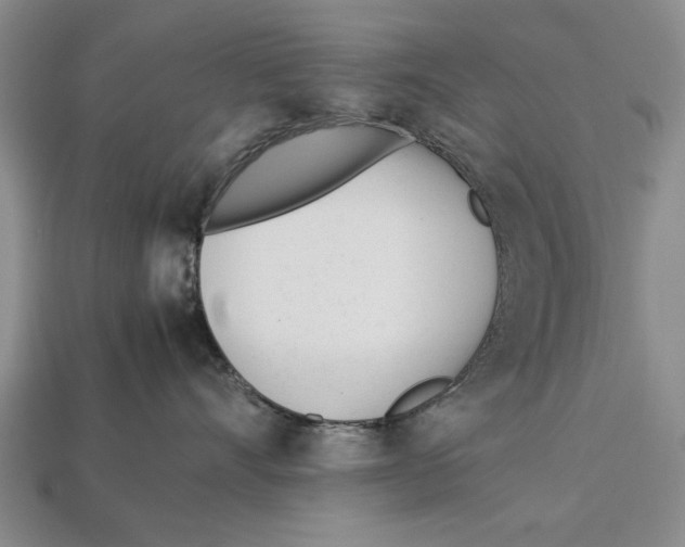 X0000113010528200909241354