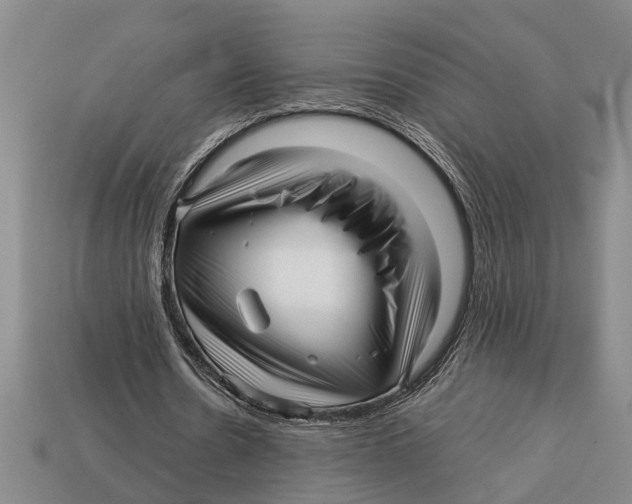 X0000113010530200909241354