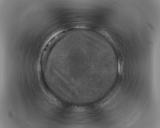 X0000113010531200909241354