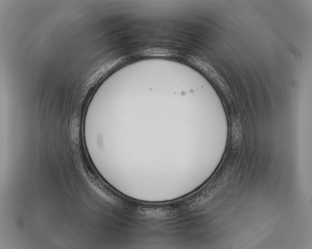X0000113010533200909241354
