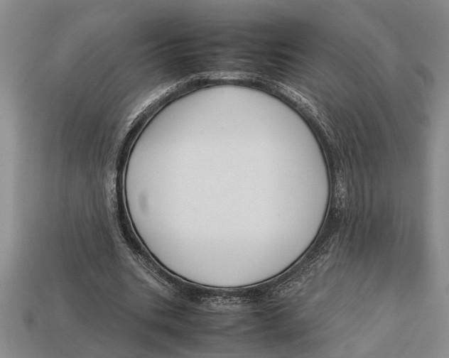 X0000113010535200909241354