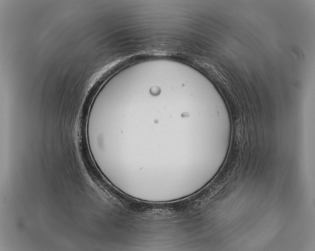 X0000113010536200909241354