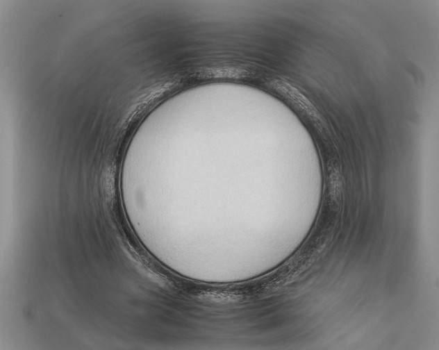 X0000113010537200909241354