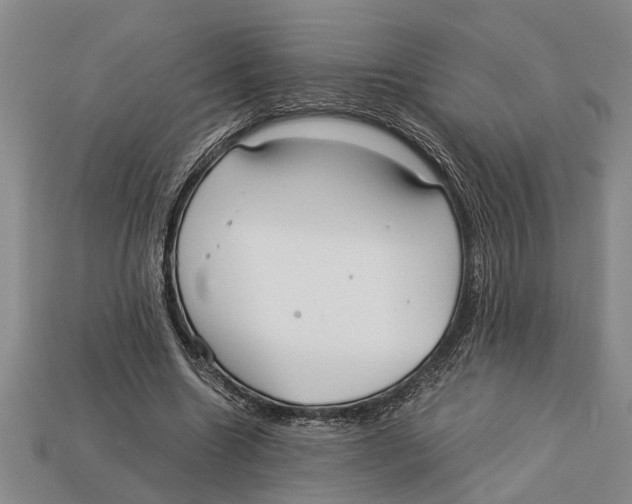 X0000113010538200909241354