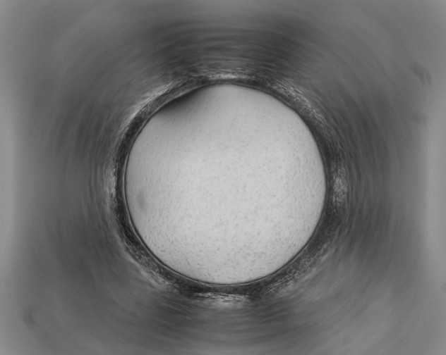 X0000113010539200909241354